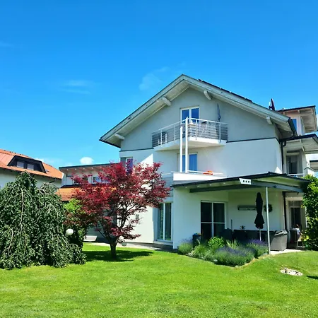 Scheiber *